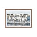 Picture of White Horses _GroupedProduct_Rectangle_Landscape_Photography _GroupedProduct_Rectangle_Landscape_Framed_Matted_