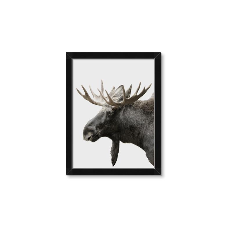 Picture of Moose _GroupedProduct_Rectangle_Portrait_Photography _GroupedProduct_Rectangle_Portrait_Framed_Matted_