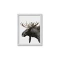 Picture of Moose _GroupedProduct_Rectangle_Portrait_Photography _GroupedProduct_Rectangle_Portrait_Framed_Matted_
