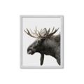 Picture of Moose _GroupedProduct_Rectangle_Portrait_Photography _GroupedProduct_Rectangle_Portrait_Framed_Matted_