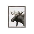 Picture of Moose _GroupedProduct_Rectangle_Portrait_Photography _GroupedProduct_Rectangle_Portrait_Framed_Matted_