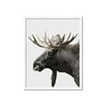Picture of Moose _GroupedProduct_Rectangle_Portrait_Photography _GroupedProduct_Rectangle_Portrait_Framed_Matted_