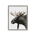 Picture of Moose _GroupedProduct_Rectangle_Portrait_Photography _GroupedProduct_Rectangle_Portrait_Framed_Matted_