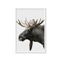 Picture of Moose _GroupedProduct_Rectangle_Portrait_Photography _GroupedProduct_Rectangle_Portrait_Framed_Matted_