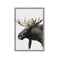 Picture of Moose _GroupedProduct_Rectangle_Portrait_Photography _GroupedProduct_Rectangle_Portrait_Framed_Matted_