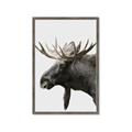 Picture of Moose _GroupedProduct_Rectangle_Portrait_Photography _GroupedProduct_Rectangle_Portrait_Framed_Matted_