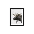 Picture of Moose _GroupedProduct_Rectangle_Portrait_Photography _GroupedProduct_Rectangle_Portrait_Framed_Matted_