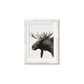 Picture of Moose _GroupedProduct_Rectangle_Portrait_Photography _GroupedProduct_Rectangle_Portrait_Framed_Matted_