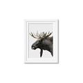 Picture of Moose _GroupedProduct_Rectangle_Portrait_Photography _GroupedProduct_Rectangle_Portrait_Framed_Matted_