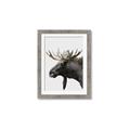Picture of Moose _GroupedProduct_Rectangle_Portrait_Photography _GroupedProduct_Rectangle_Portrait_Framed_Matted_
