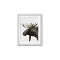 Picture of Moose _GroupedProduct_Rectangle_Portrait_Photography _GroupedProduct_Rectangle_Portrait_Framed_Matted_