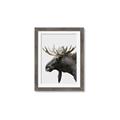 Picture of Moose _GroupedProduct_Rectangle_Portrait_Photography _GroupedProduct_Rectangle_Portrait_Framed_Matted_