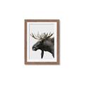 Picture of Moose _GroupedProduct_Rectangle_Portrait_Photography _GroupedProduct_Rectangle_Portrait_Framed_Matted_