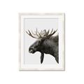 Picture of Moose _GroupedProduct_Rectangle_Portrait_Photography _GroupedProduct_Rectangle_Portrait_Framed_Matted_