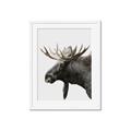 Picture of Moose _GroupedProduct_Rectangle_Portrait_Photography _GroupedProduct_Rectangle_Portrait_Framed_Matted_