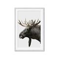 Picture of Moose _GroupedProduct_Rectangle_Portrait_Photography _GroupedProduct_Rectangle_Portrait_Framed_Matted_