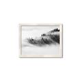 Picture of Mystic foggy forest _GroupedProduct_Rectangle_Landscape_Photography _GroupedProduct_Rectangle_Landscape_Framed_Matted_