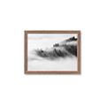 Picture of Mystic foggy forest _GroupedProduct_Rectangle_Landscape_Photography _GroupedProduct_Rectangle_Landscape_Framed_Matted_