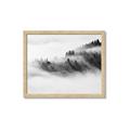 Picture of Mystic foggy forest _GroupedProduct_Rectangle_Landscape_Photography _GroupedProduct_Rectangle_Landscape_Framed_Matted_