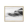 Picture of Mystic foggy forest _GroupedProduct_Rectangle_Landscape_Photography _GroupedProduct_Rectangle_Landscape_Framed_Matted_