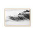 Picture of Mystic foggy forest _GroupedProduct_Rectangle_Landscape_Photography _GroupedProduct_Rectangle_Landscape_Framed_Matted_