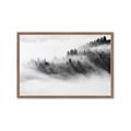 Picture of Mystic foggy forest _GroupedProduct_Rectangle_Landscape_Photography _GroupedProduct_Rectangle_Landscape_Framed_Matted_