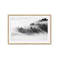Picture of Mystic foggy forest _GroupedProduct_Rectangle_Landscape_Photography _GroupedProduct_Rectangle_Landscape_Framed_Matted_