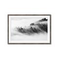 Picture of Mystic foggy forest _GroupedProduct_Rectangle_Landscape_Photography _GroupedProduct_Rectangle_Landscape_Framed_Matted_