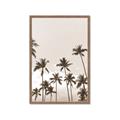 Picture of Palm Goddess _GroupedProduct_Rectangle_Portrait_Photography _GroupedProduct_Rectangle_Portrait_Framed_Matted_