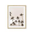 Picture of Palm Goddess _GroupedProduct_Rectangle_Portrait_Photography _GroupedProduct_Rectangle_Portrait_Framed_Matted_