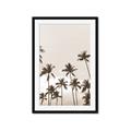 Picture of Palm Goddess _GroupedProduct_Rectangle_Portrait_Photography _GroupedProduct_Rectangle_Portrait_Framed_Matted_