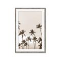 Picture of Palm Goddess _GroupedProduct_Rectangle_Portrait_Photography _GroupedProduct_Rectangle_Portrait_Framed_Matted_