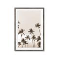 Picture of Palm Goddess _GroupedProduct_Rectangle_Portrait_Photography _GroupedProduct_Rectangle_Portrait_Framed_Matted_