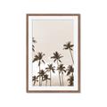 Picture of Palm Goddess _GroupedProduct_Rectangle_Portrait_Photography _GroupedProduct_Rectangle_Portrait_Framed_Matted_