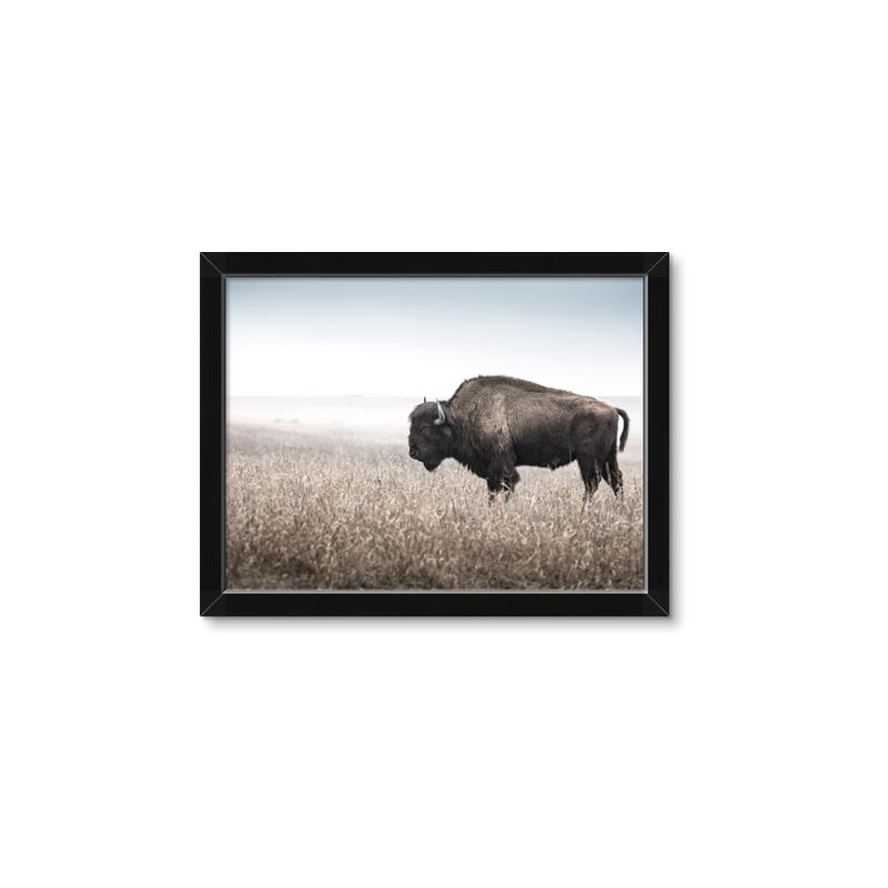 Picture of Bison Field _GroupedProduct_Rectangle_Landscape_Photography _GroupedProduct_Rectangle_Landscape_Framed_Matted_