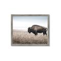 Picture of Bison Field _GroupedProduct_Rectangle_Landscape_Photography _GroupedProduct_Rectangle_Landscape_Framed_Matted_