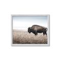 Picture of Bison Field _GroupedProduct_Rectangle_Landscape_Photography _GroupedProduct_Rectangle_Landscape_Framed_Matted_