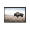Picture of Bison Field _GroupedProduct_Rectangle_Landscape_Photography _GroupedProduct_Rectangle_Landscape_Framed_Matted_