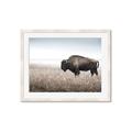 Picture of Bison Field _GroupedProduct_Rectangle_Landscape_Photography _GroupedProduct_Rectangle_Landscape_Framed_Matted_