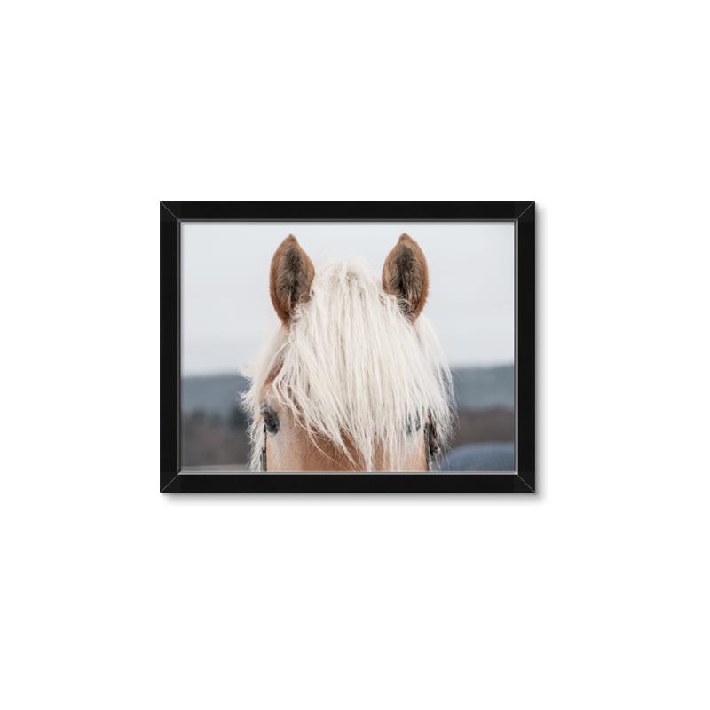 Picture of Katie _GroupedProduct_Rectangle_Landscape_Photography _GroupedProduct_Rectangle_Landscape_Framed_Matted_