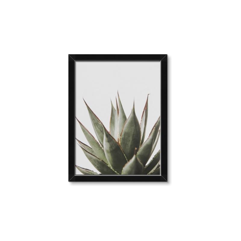 Picture of Cactus Succulent _GroupedProduct_Rectangle_Portrait_Photography _GroupedProduct_Rectangle_Portrait_Framed_Matted_