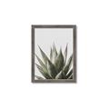 Picture of Cactus Succulent _GroupedProduct_Rectangle_Portrait_Photography _GroupedProduct_Rectangle_Portrait_Framed_Matted_