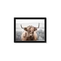 Picture of Hairy Brown _GroupedProduct_Rectangle_Landscape_Photography _GroupedProduct_Rectangle_Landscape_Framed_Matted_
