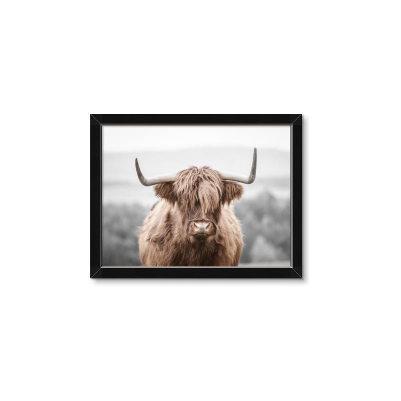 Picture of Hairy Brown _GroupedProduct_Rectangle_Landscape_Photography _GroupedProduct_Rectangle_Landscape_Framed_Matted_