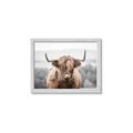 Picture of Hairy Brown _GroupedProduct_Rectangle_Landscape_Photography _GroupedProduct_Rectangle_Landscape_Framed_Matted_