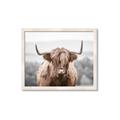 Picture of Hairy Brown _GroupedProduct_Rectangle_Landscape_Photography _GroupedProduct_Rectangle_Landscape_Framed_Matted_