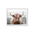 Picture of Hairy Brown _GroupedProduct_Rectangle_Landscape_Photography _GroupedProduct_Rectangle_Landscape_Framed_Matted_