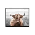 Picture of Hairy Brown _GroupedProduct_Rectangle_Landscape_Photography _GroupedProduct_Rectangle_Landscape_Framed_Matted_