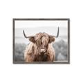 Picture of Hairy Brown _GroupedProduct_Rectangle_Landscape_Photography _GroupedProduct_Rectangle_Landscape_Framed_Matted_
