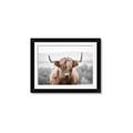 Picture of Hairy Brown _GroupedProduct_Rectangle_Landscape_Photography _GroupedProduct_Rectangle_Landscape_Framed_Matted_